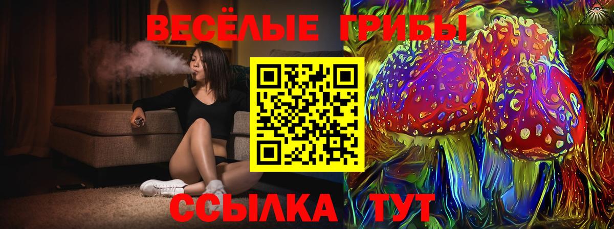 Солнечногорск  Псилоцибиновые грибы Psilocybine cubensis  Псилоцибиновые грибы MAGIC MUSHROOMS  Вход с VPN 