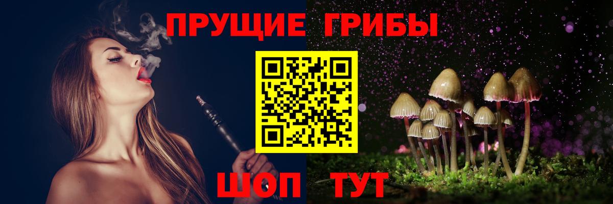 Псилоцибиновые грибы GOLDEN TEACHER Солнечногорск